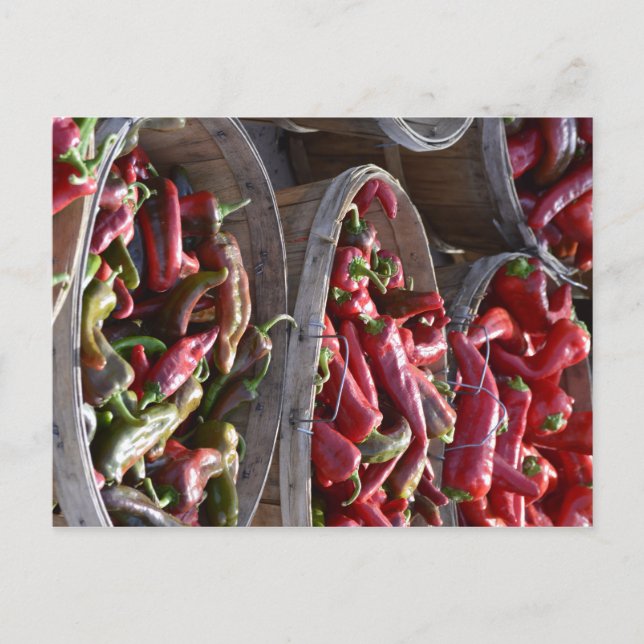 Roter Chili Postkarte (Vorderseite)