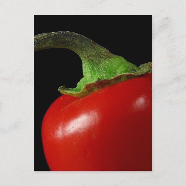 Roter Chili Postkarte (Vorderseite)