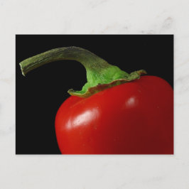Roter Chili Postkarte