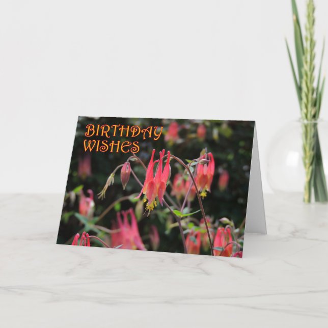 Roter Columbine-Geburtstag Karte (Vorderseite)