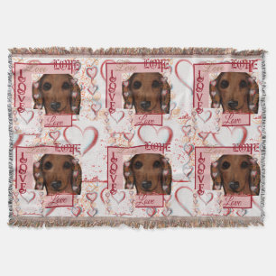 Roter Dachshund Decke