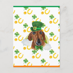 Roter Dachshund Shamrock St. Patricks Tag Feiertagspostkarte