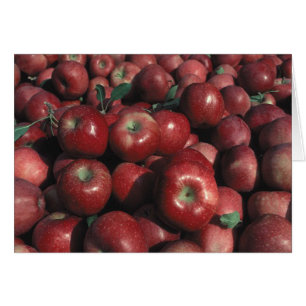 Roter Delicious Apfel Foto Leere Grußkarte