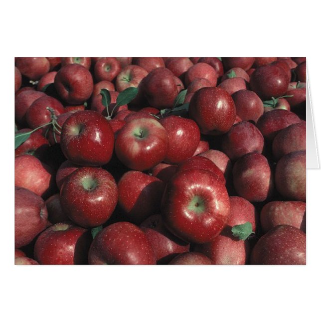 Roter Delicious Apfel Foto Leere Grußkarte (Vorderseite (Horizontal))