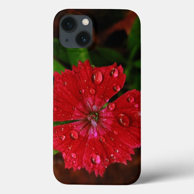 Roter Dianthus mit Regentropfen Case-Mate iPhone Hülle (Rückseite)