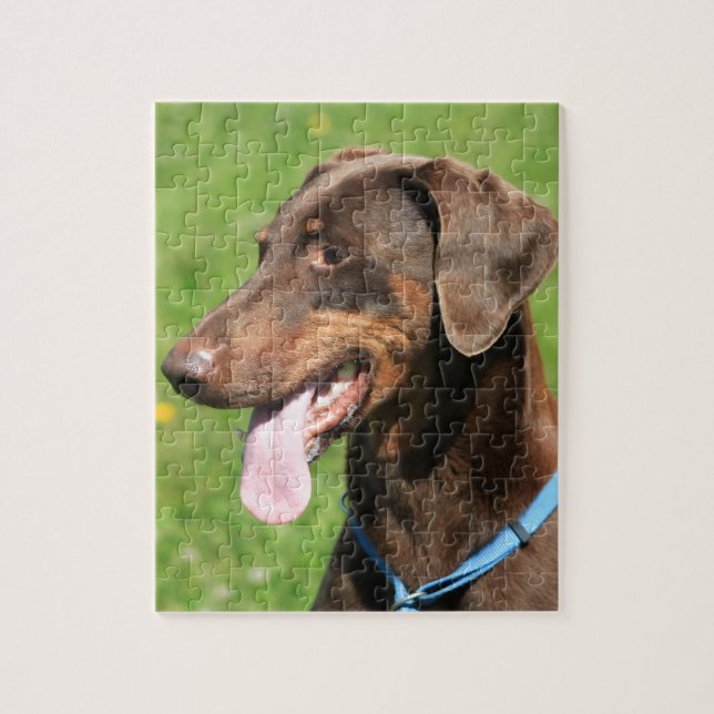 Roter Dobermann Puzzle (Vertikal)