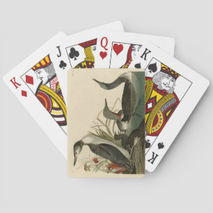 Roter Donnerstag (Loon) Audubon Birds of America Spielkarten