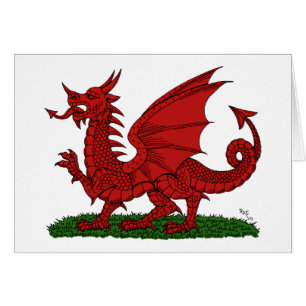 Roter Drache von Wales