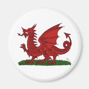Roter Drache von Wales Magnet