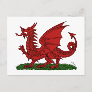 Roter Drache von Wales Postkarte