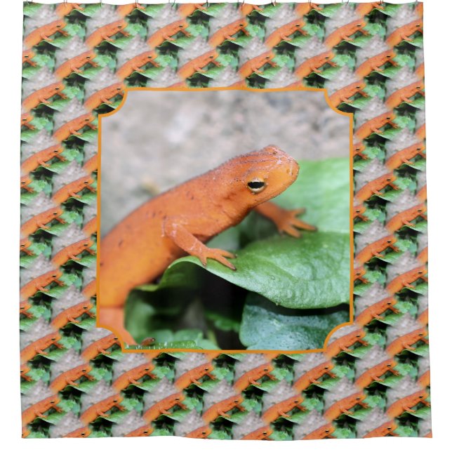 Roter Eft-Salamander Tier Natur Muster  Duschvorhang (Vorderseite)