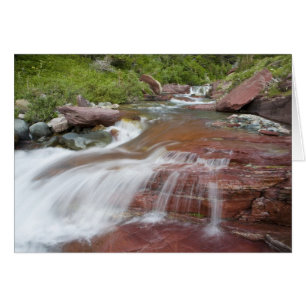 Roter Felsen im Baring Creek im Glacier National