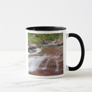 Roter Felsen in Baring Creek im Glacier National Tasse
