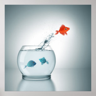 Roter Fisch springt Poster