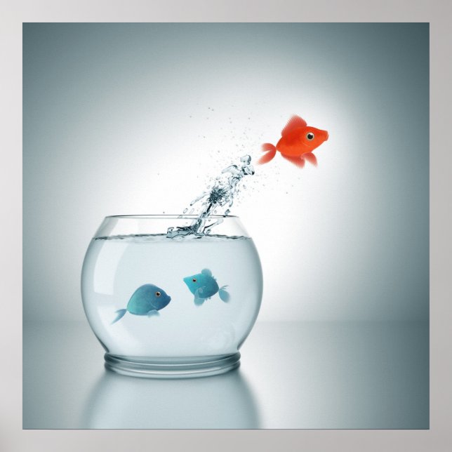 Roter Fisch springt Poster (Vorne)