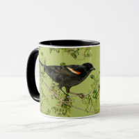 Roter Flügel Schwarzer Vogel grüner Hintergrund