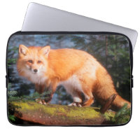 Roter Fox auf einem log