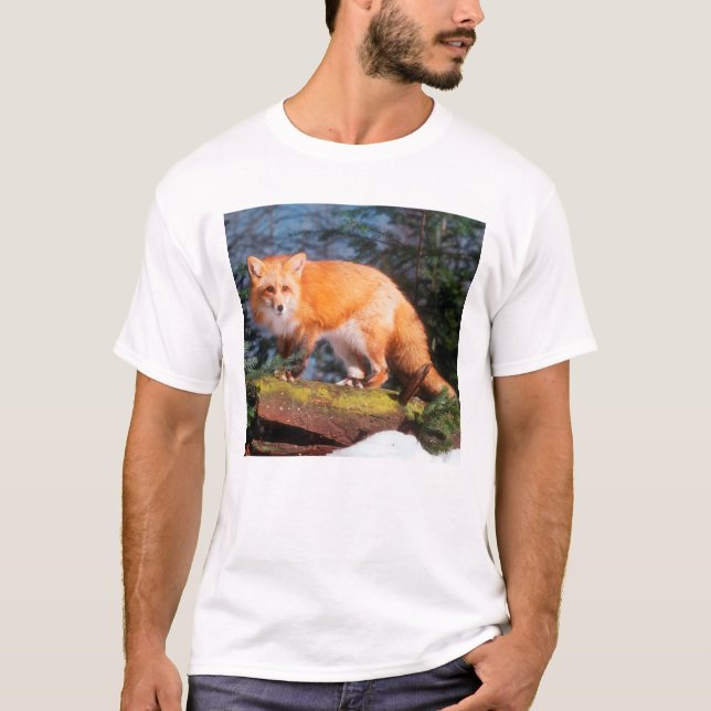 Roter Fox auf einem log T-Shirt (Vorderseite)