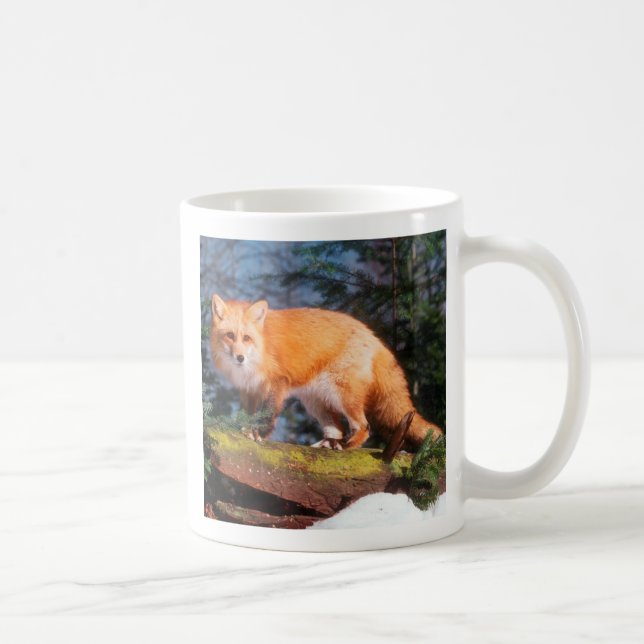 Roter Fox auf einem log Tasse (Rechts)