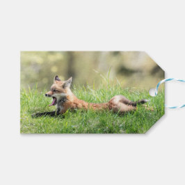 Roter Fox-Ausrüstung Geschenkanhänger