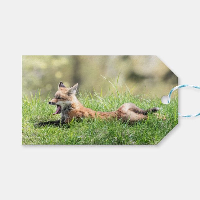 Roter Fox-Ausrüstung Geschenkanhänger (Vorderseite (Horizontal))