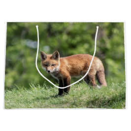 Roter Fox-Ausrüstung Große Geschenktüte