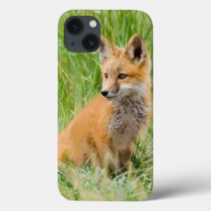 Roter Fox-Ausrüstung im Gras nahe Höhle Case-Mate iPhone Hülle