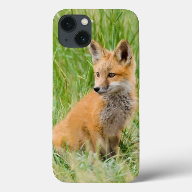 Roter Fox-Ausrüstung im Gras nahe Höhle Case-Mate iPhone Hülle (Rückseite)