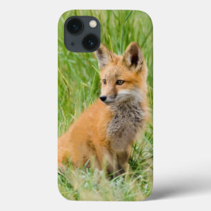 Roter Fox-Ausrüstung im Gras nahe Höhle Case-Mate iPhone Hülle