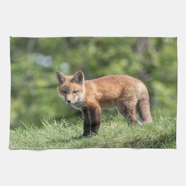 Roter Fox-Ausrüstung Küchentuch (Horizontal)