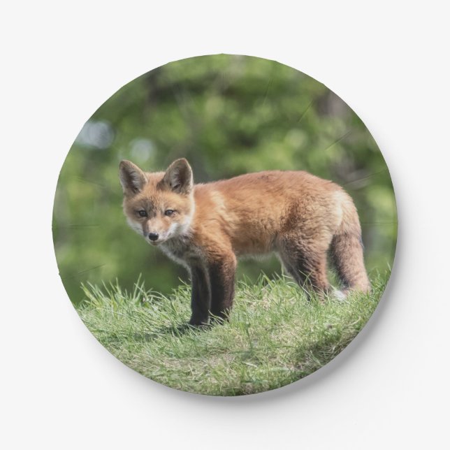 Roter Fox-Ausrüstung Pappteller (Vorderseite)