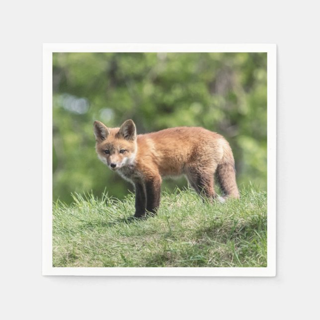 Roter Fox-Ausrüstung Serviette (Vorderseite)