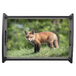 Roter Fox-Ausrüstung Tablett