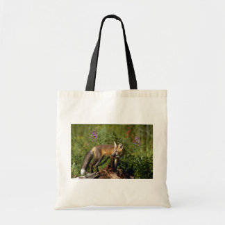 Roter Fox-Ausrüstung Tragetasche