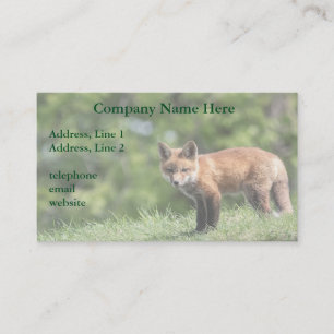 Roter Fox-Ausrüstung Visitenkarte