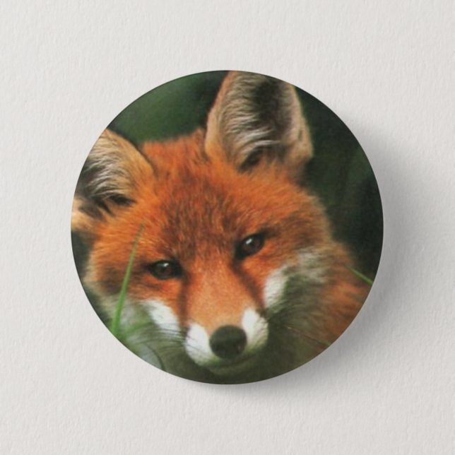 Roter Fox Button (Vorderseite)
