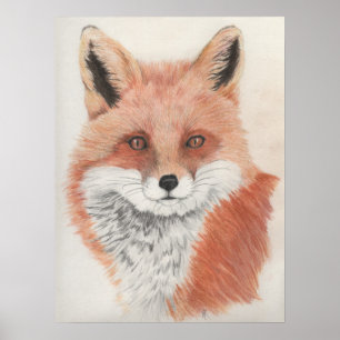 Roter Fox Farbstift Zeichnend Druck Poster