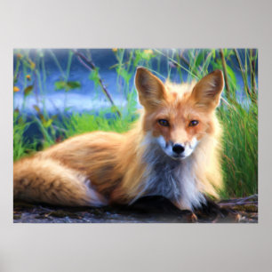 Roter Fox im Gras-Wildlife-Image Poster