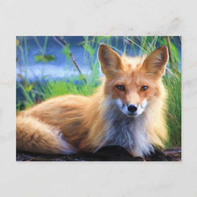 Roter Fox im Gras-Wildlife-Image Postkarte (Vorderseite)