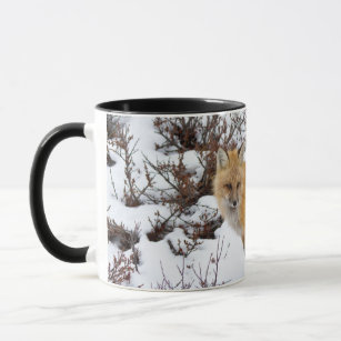 Roter Fox im Schnee im Winter Tasse