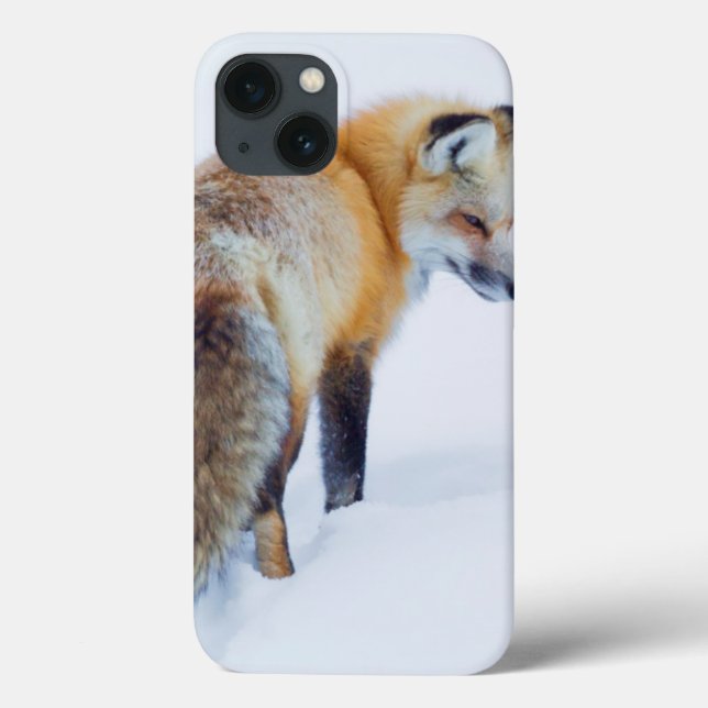 Roter Fox im Winter Case-Mate iPhone Hülle (Rückseite)