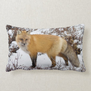 Roter Fox im Winter Lendenkissen
