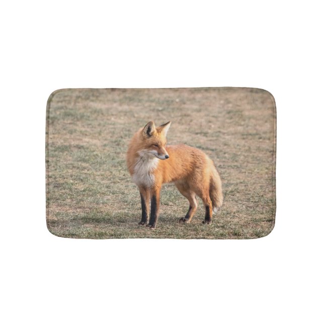 Roter Fox in einem Feld Badematte (Vorderseite)