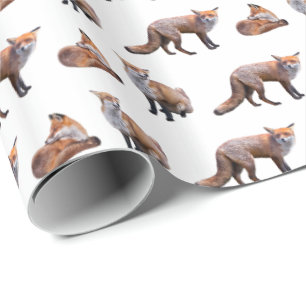 Roter Fox-Raserei-Packpapier (wählen Sie Farbe) Geschenkpapier