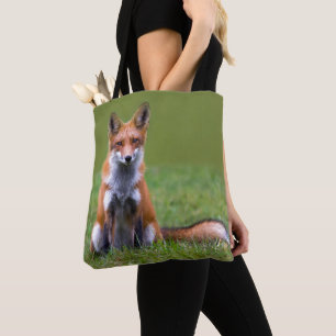 Roter Fox-Sitzen