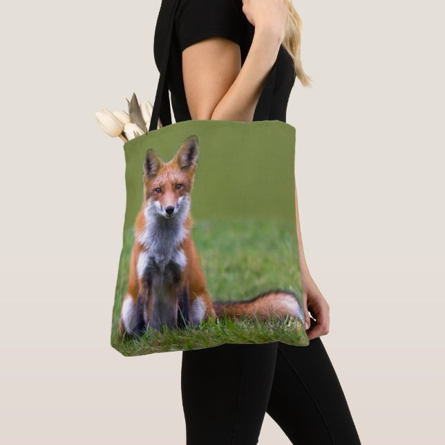 Roter Fox-Sitzen (Von Nahem)