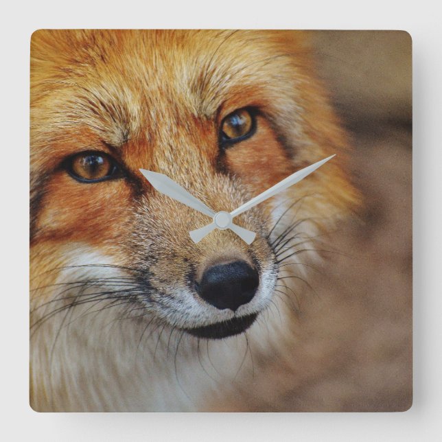 Roter Fox-Uhr Quadratische Wanduhr (Vorderseite)
