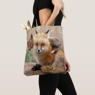 Roter Fox und Baby