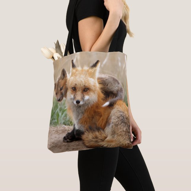 Roter Fox und Baby (Von Nahem)