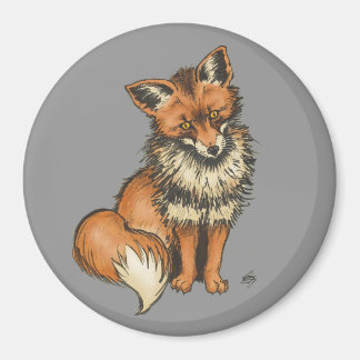 Roter Fuchs auf grauem Hintergrund Magnet